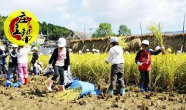 黑龙江农场爆料事件最新,揭露背后惊人真相